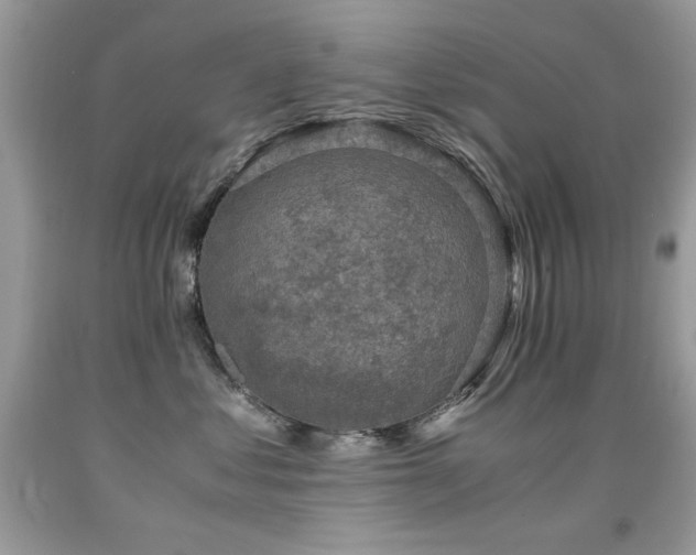 X0000091920621200709051441