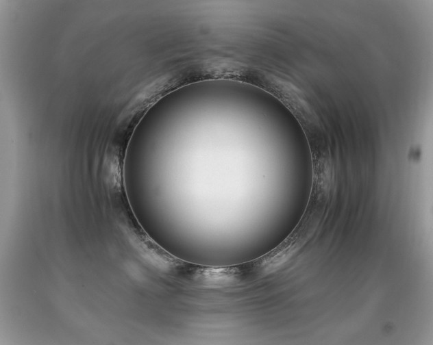 X0000091920622200709051441