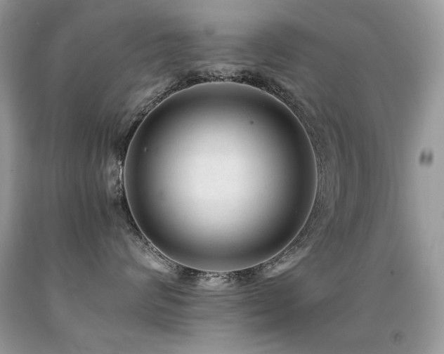X0000091920624200709051441