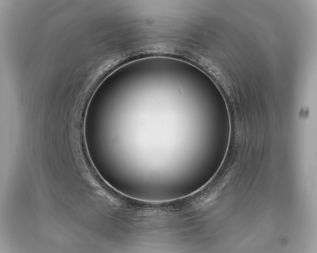 X0000091920625200709051441