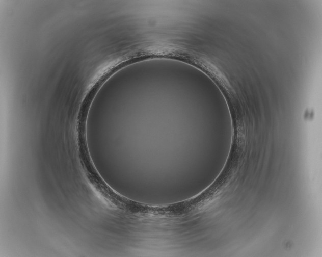 X0000091920626200709051441