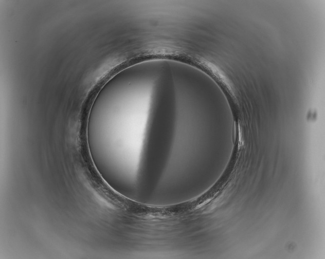 X0000091920627200709051441