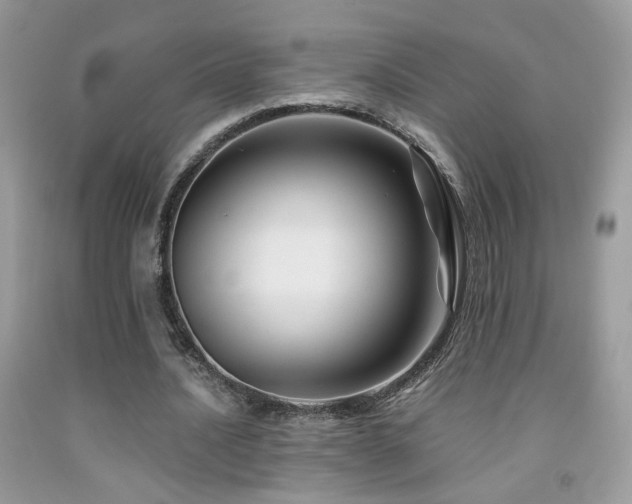 X0000091920628200709051441