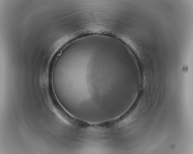 X0000091920630200709051441