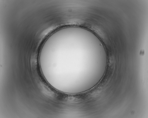 X0000091920632200709051441