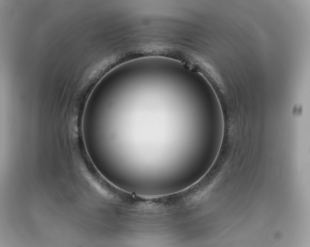 X0000091920633200709051441