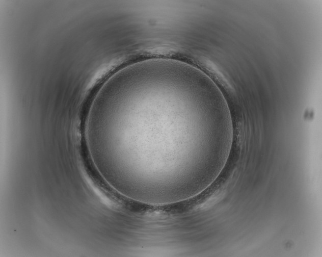 X0000091920634200709051441
