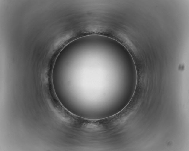 X0000091920635200709051441