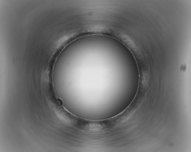X0000091920636200709051441