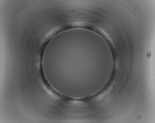 X0000091920637200709051441