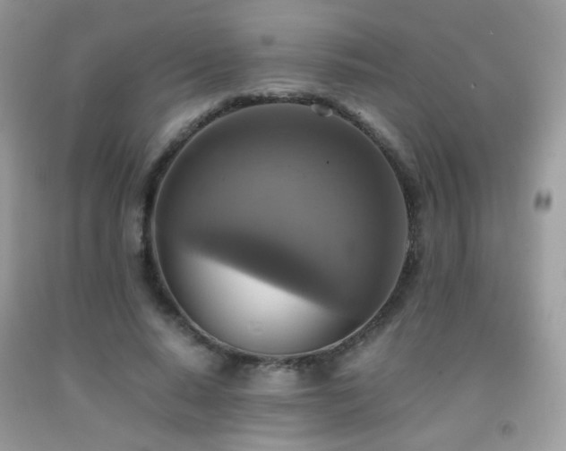 X0000091920640200709051441