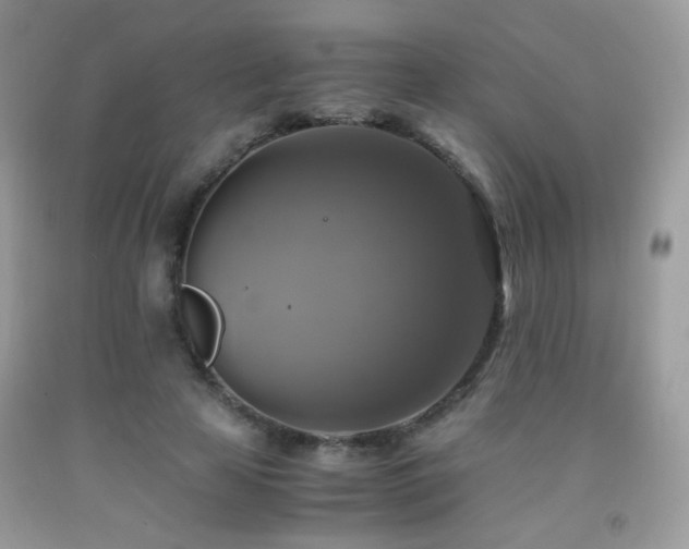X0000091920641200709051441