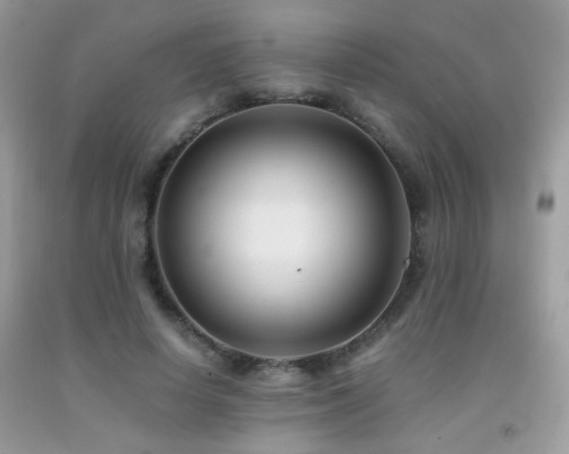 X0000091920642200709051441