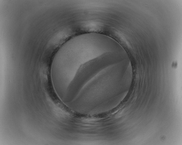X0000091920643200709051441