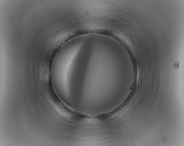 X0000091920644200709051441