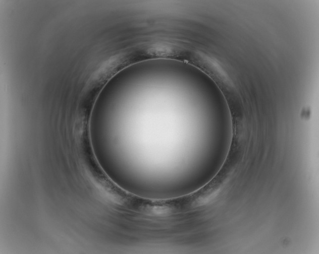 X0000091920645200709051441