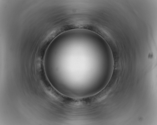 X0000091920646200709051441