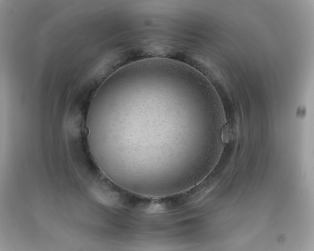 X0000091920647200709051441