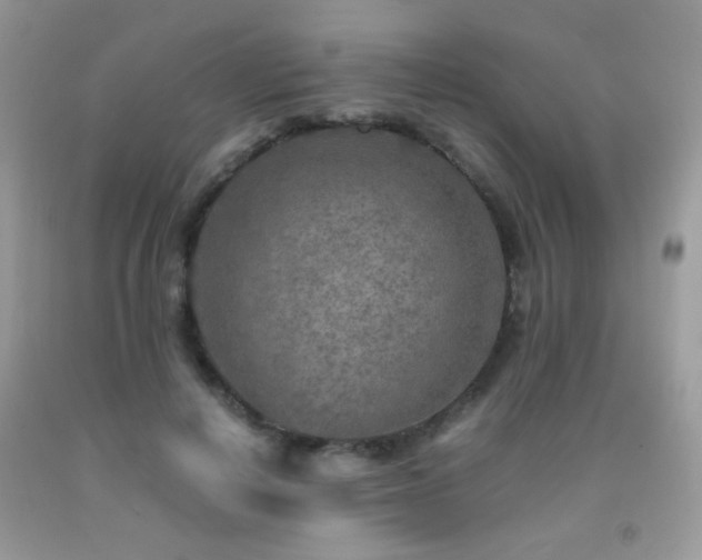 X0000091920648200709051441