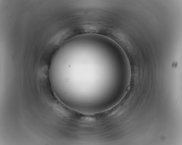 X0000091920649200709051441