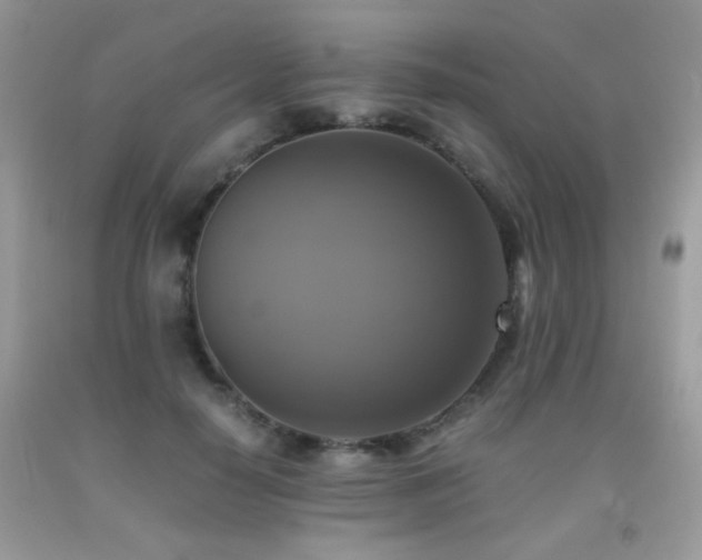 X0000091920650200709051441