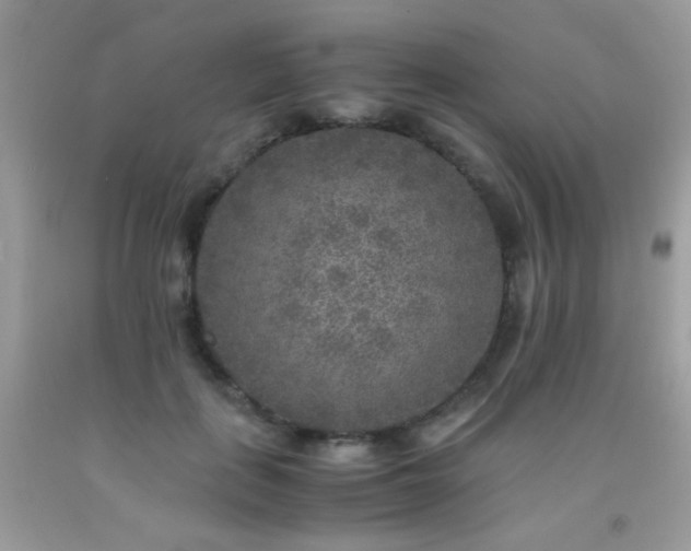 X0000091920651200709051441