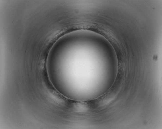 X0000091920652200709051441