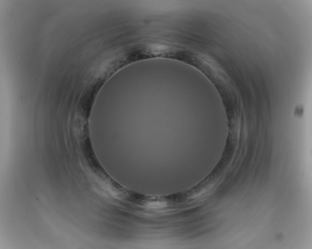X0000091920653200709051441