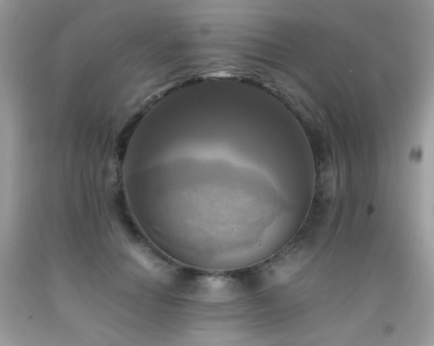X0000091920654200709051441