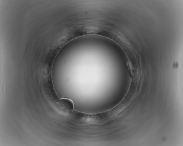X0000091920655200709051441