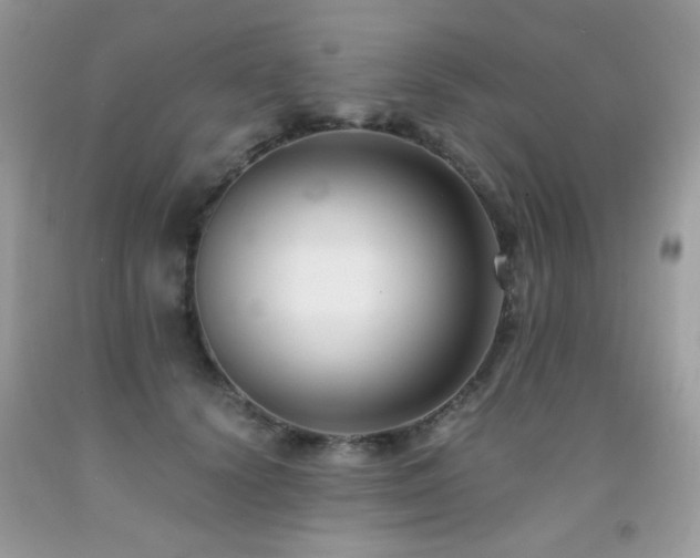 X0000091920656200709051441