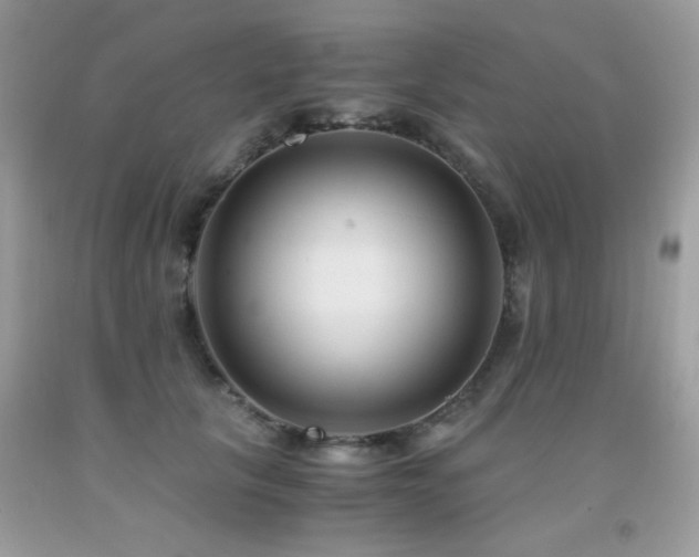 X0000091920657200709051441