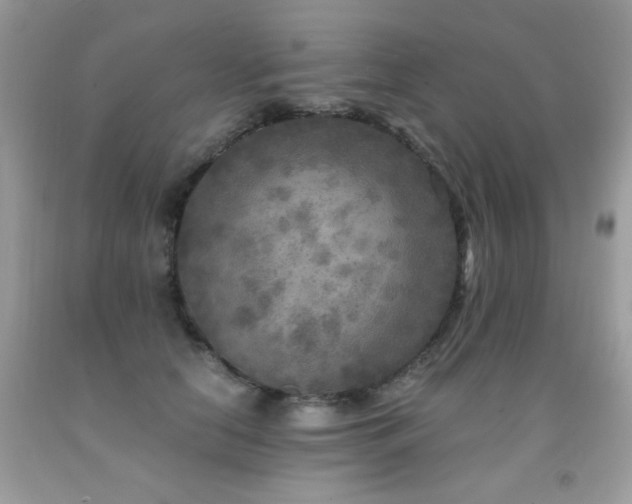 X0000091920658200709051441