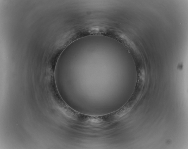 X0000091920659200709051441