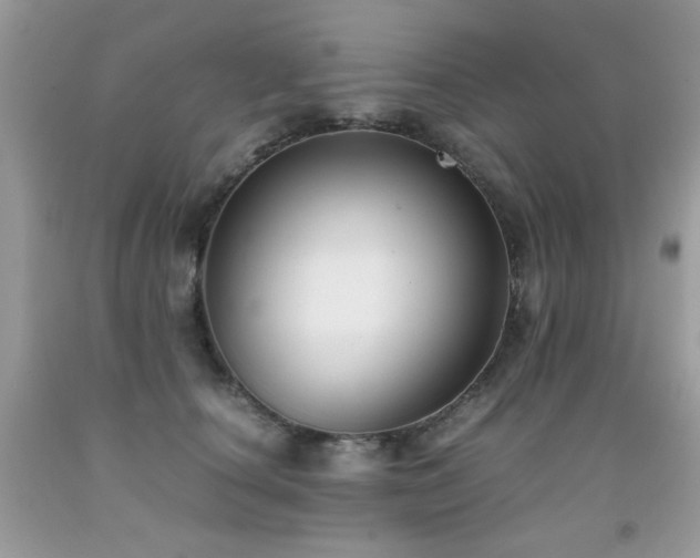 X0000091920660200709051441