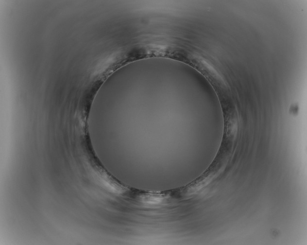 X0000091920661200709051441