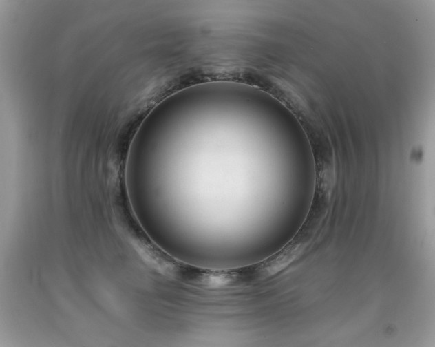 X0000091920662200709051441