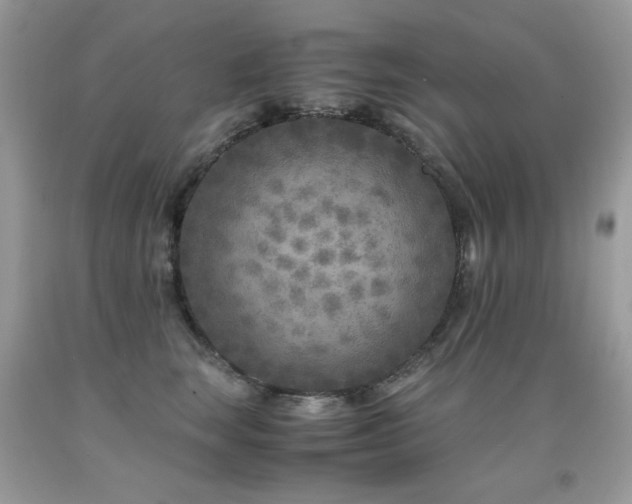X0000091920663200709051441