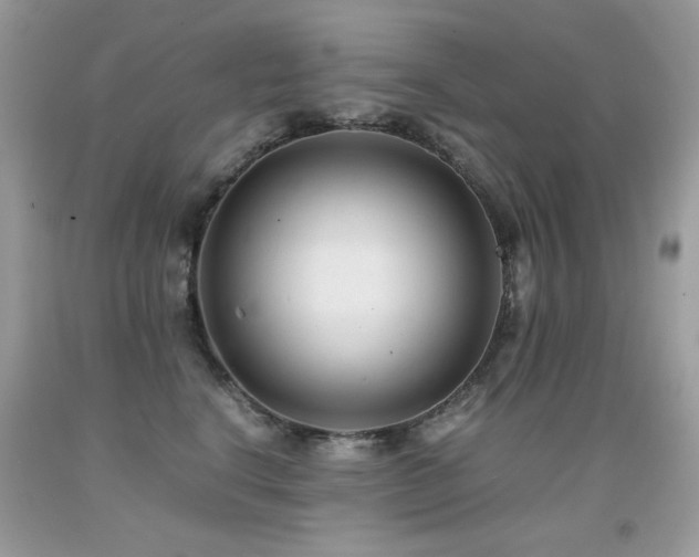 X0000091920664200709051441