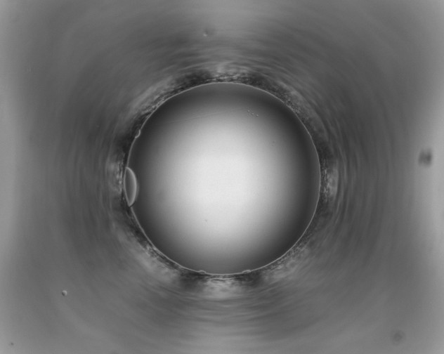 X0000091920666200709051441