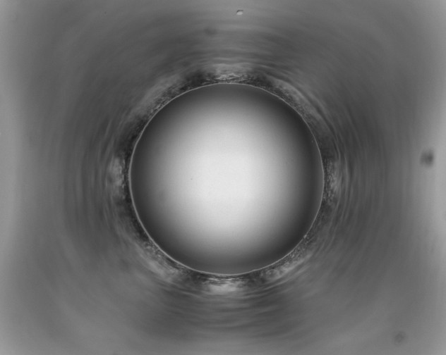 X0000091920667200709051441