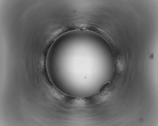 X0000091920668200709051441