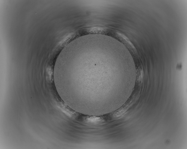 X0000091920669200709051441