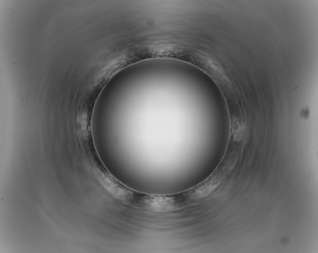 X0000091920670200709051441