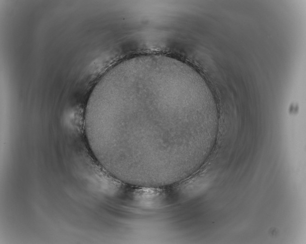 X0000091920672200709051441