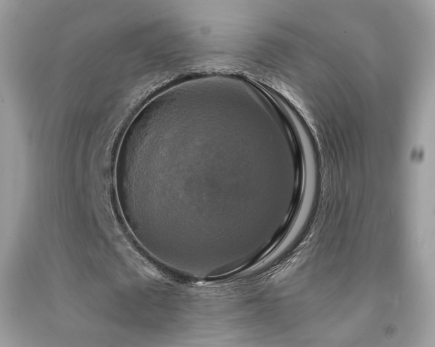 X0000091920673200709051441