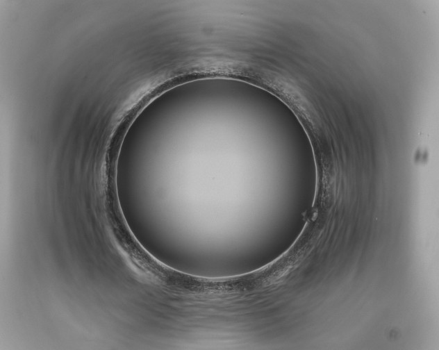 X0000091920674200709051441
