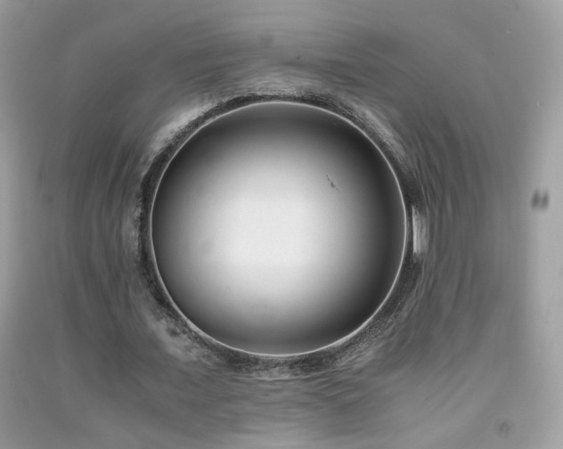 X0000091920675200709051441