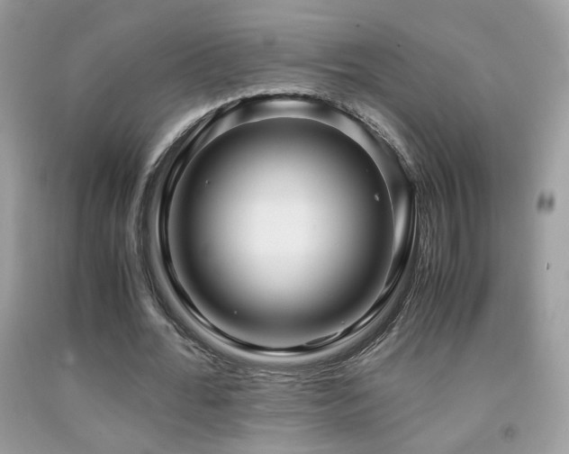 X0000091920676200709051441