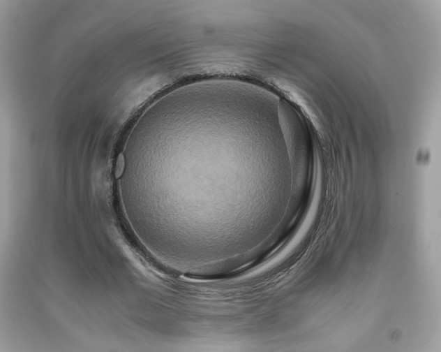 X0000091920677200709051441